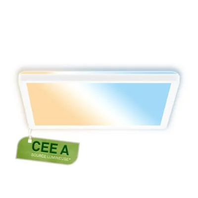 castorama-120261023164025600526